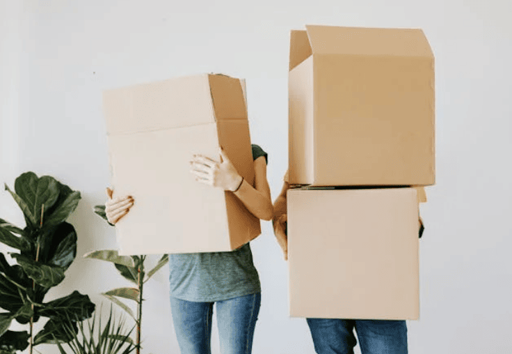 Navigating the Rental Market